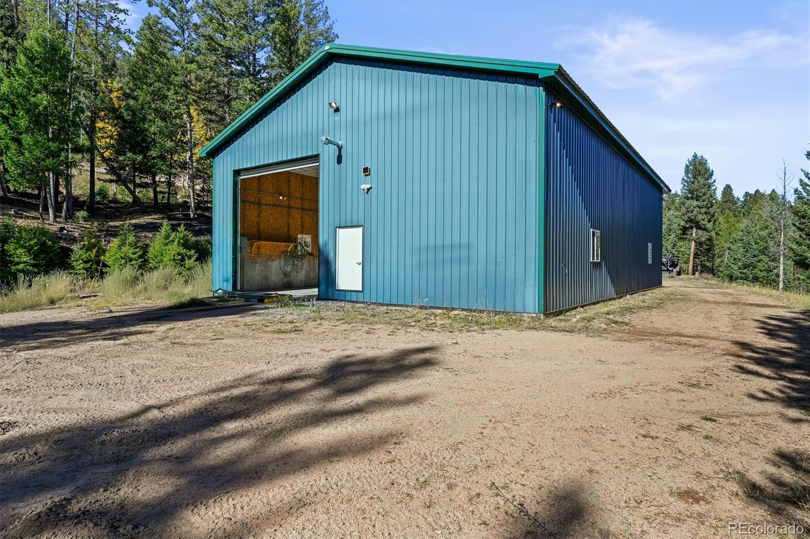 9646 Wallow Court Conifer CO 80433