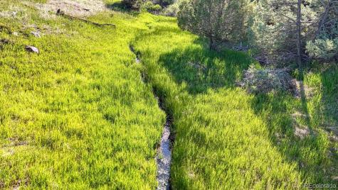 236 Boreen Way Howard CO 81233