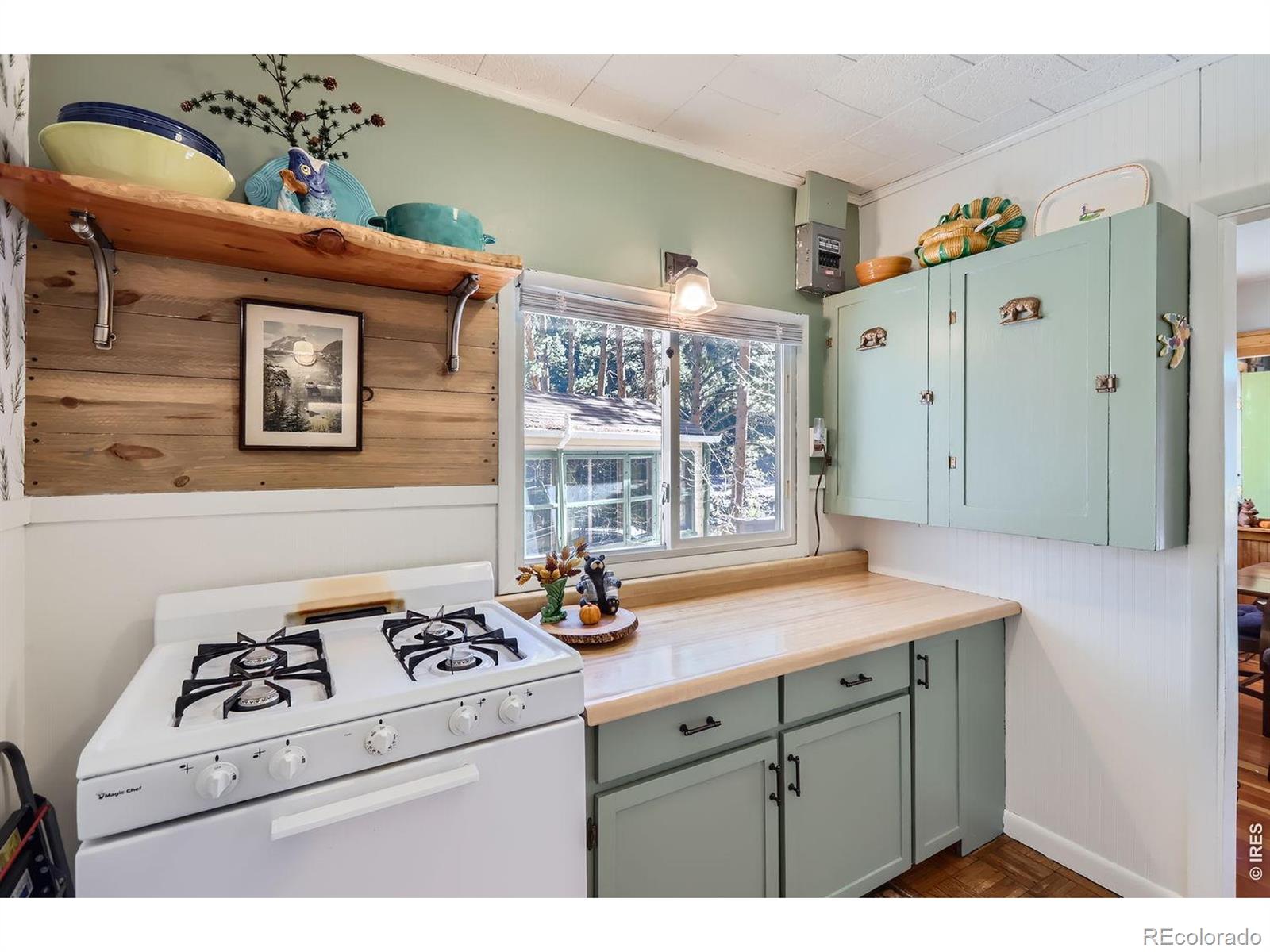 47 Berthoud Dale Lane Drake CO 80515