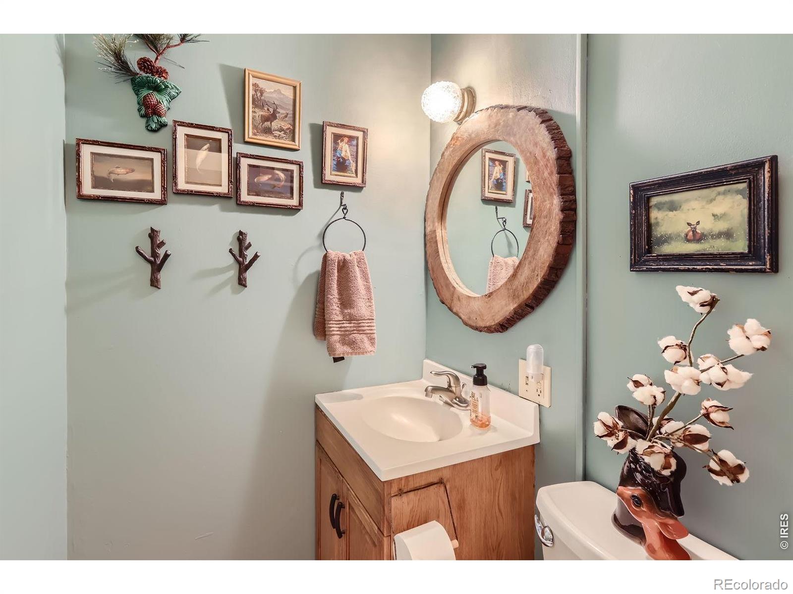 47 Berthoud Dale Lane Drake CO 80515