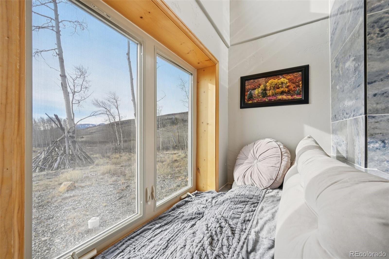 1499 Sheep Ridge Road Fairplay CO 80440