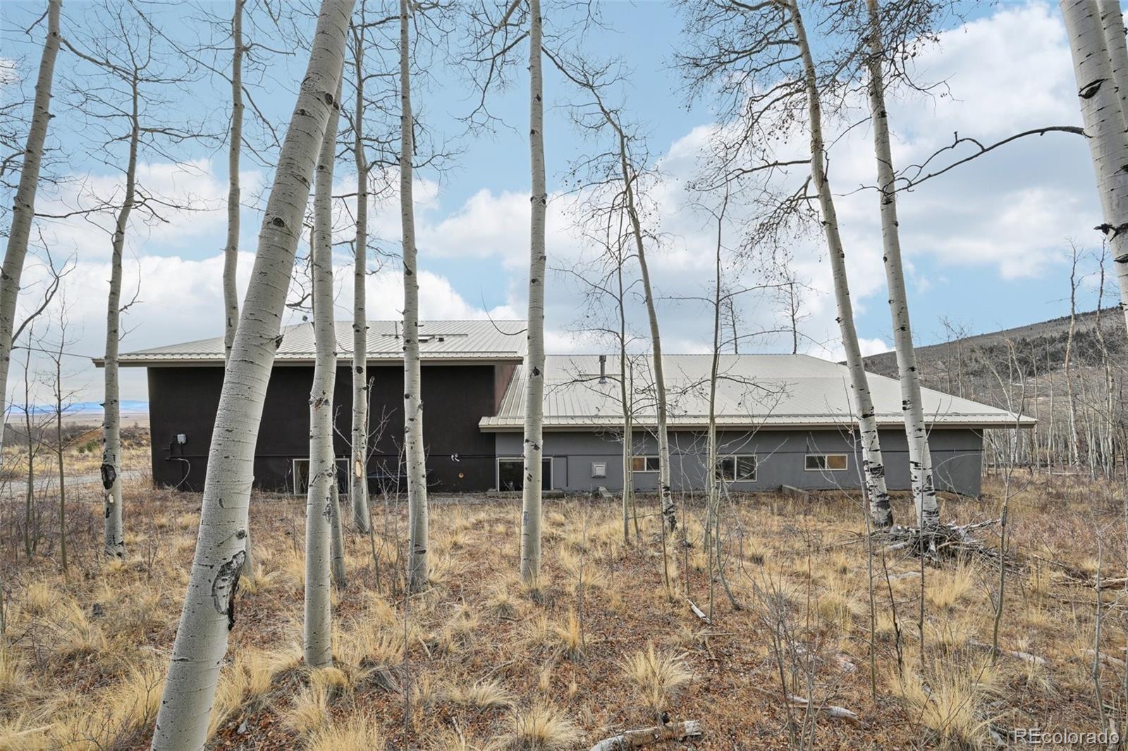 1499 Sheep Ridge Road Fairplay CO 80440