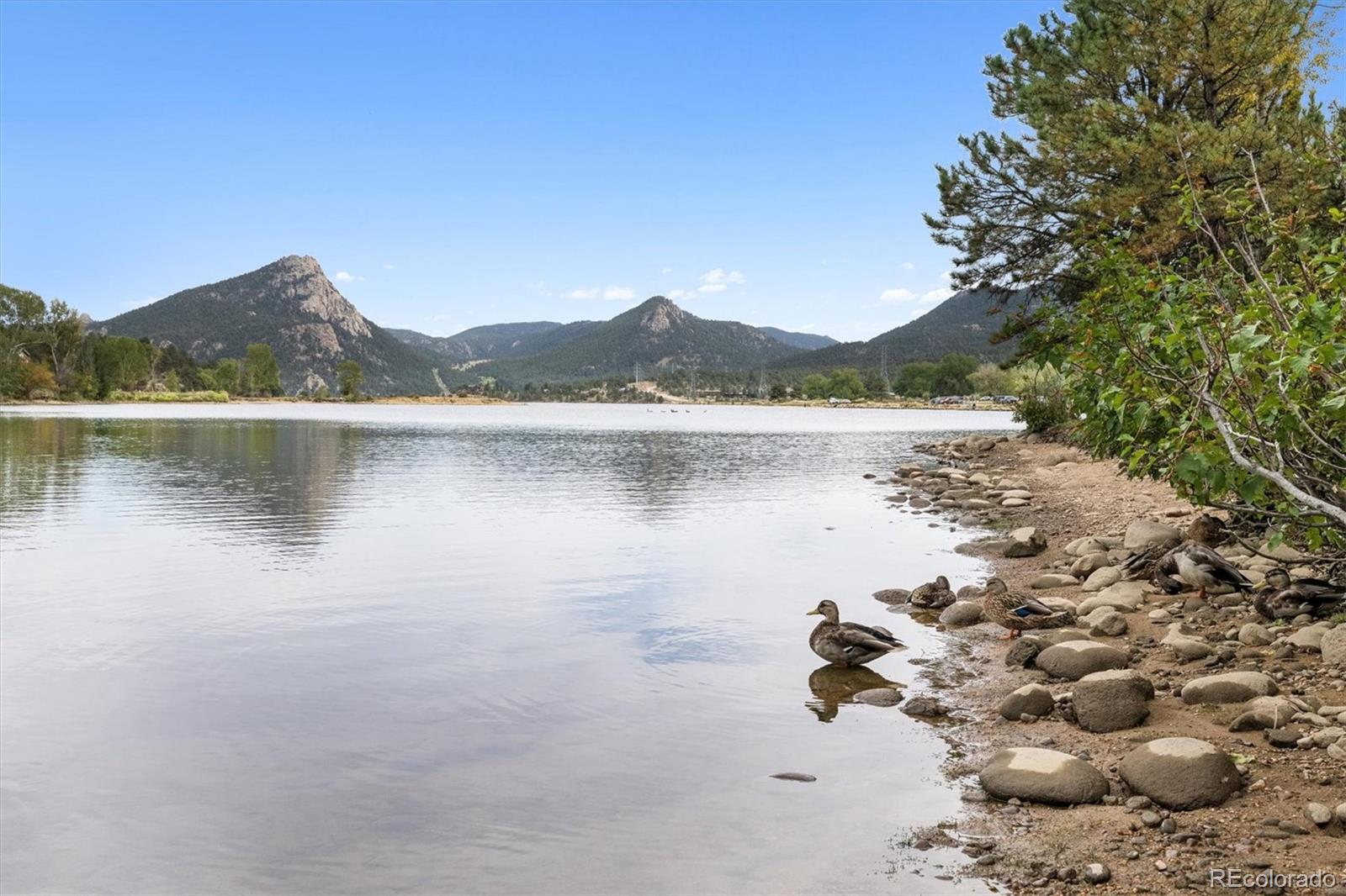 909 Village Green Lane Estes Park CO 80517