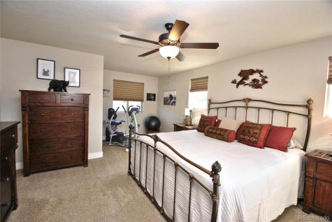 724 Sage Forest Lane Monument CO 80132