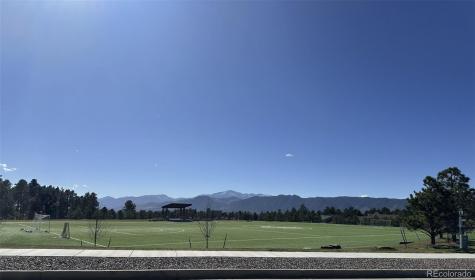 724 Sage Forest Lane Monument CO 80132