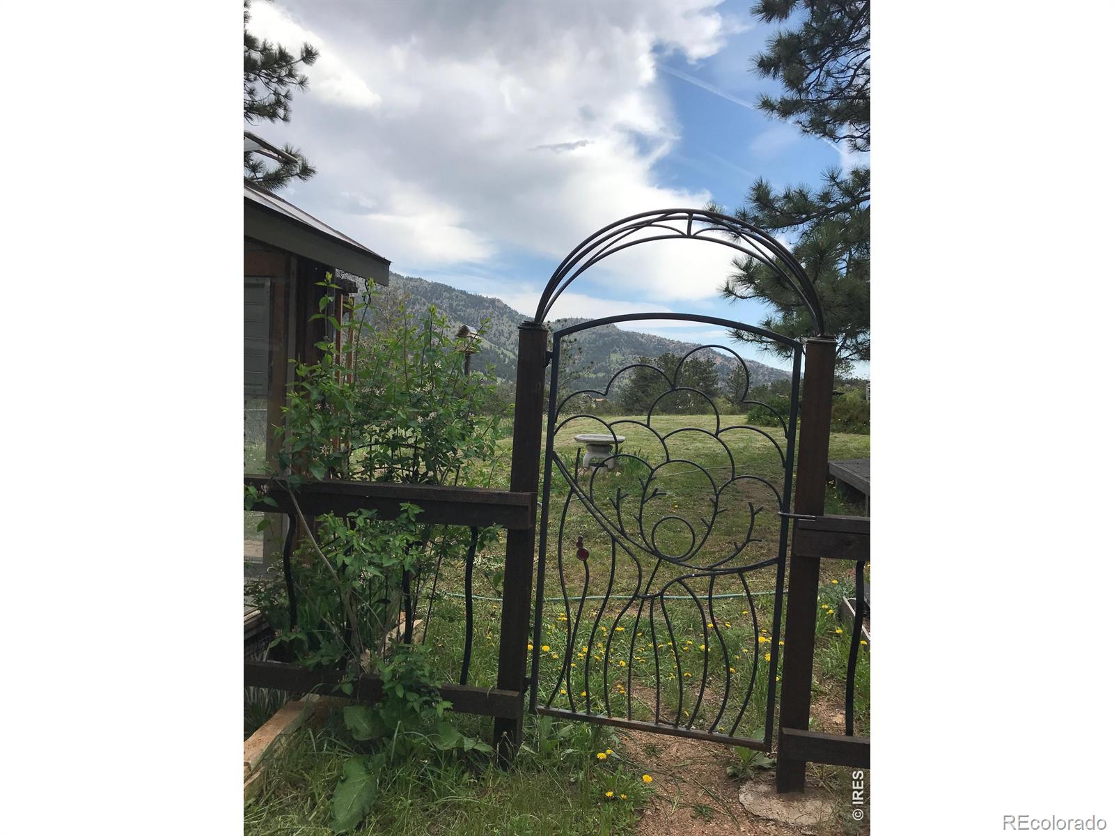 239 Estes Park Estates Drive Lyons CO 80540