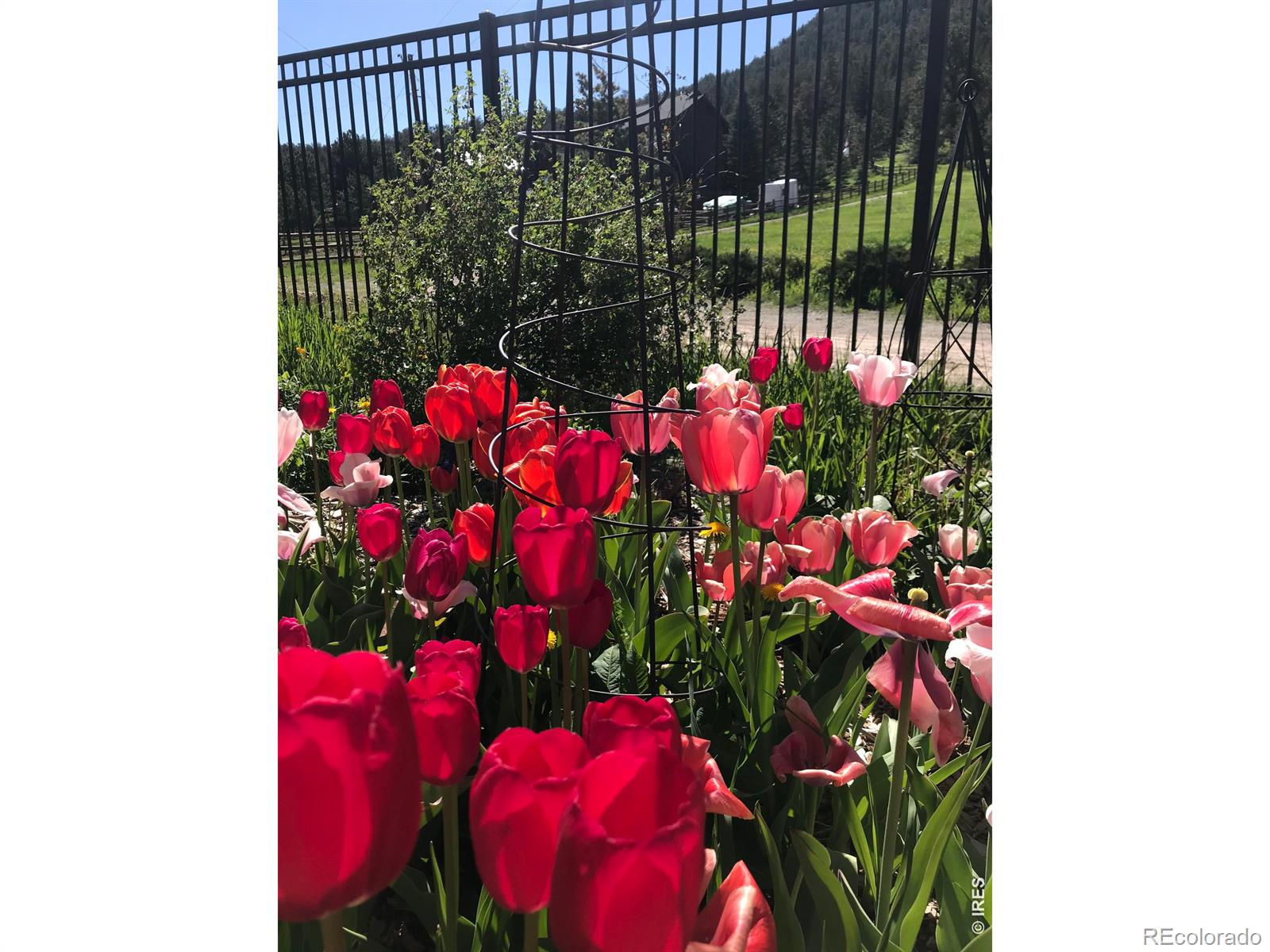 239 Estes Park Estates Drive Lyons CO 80540