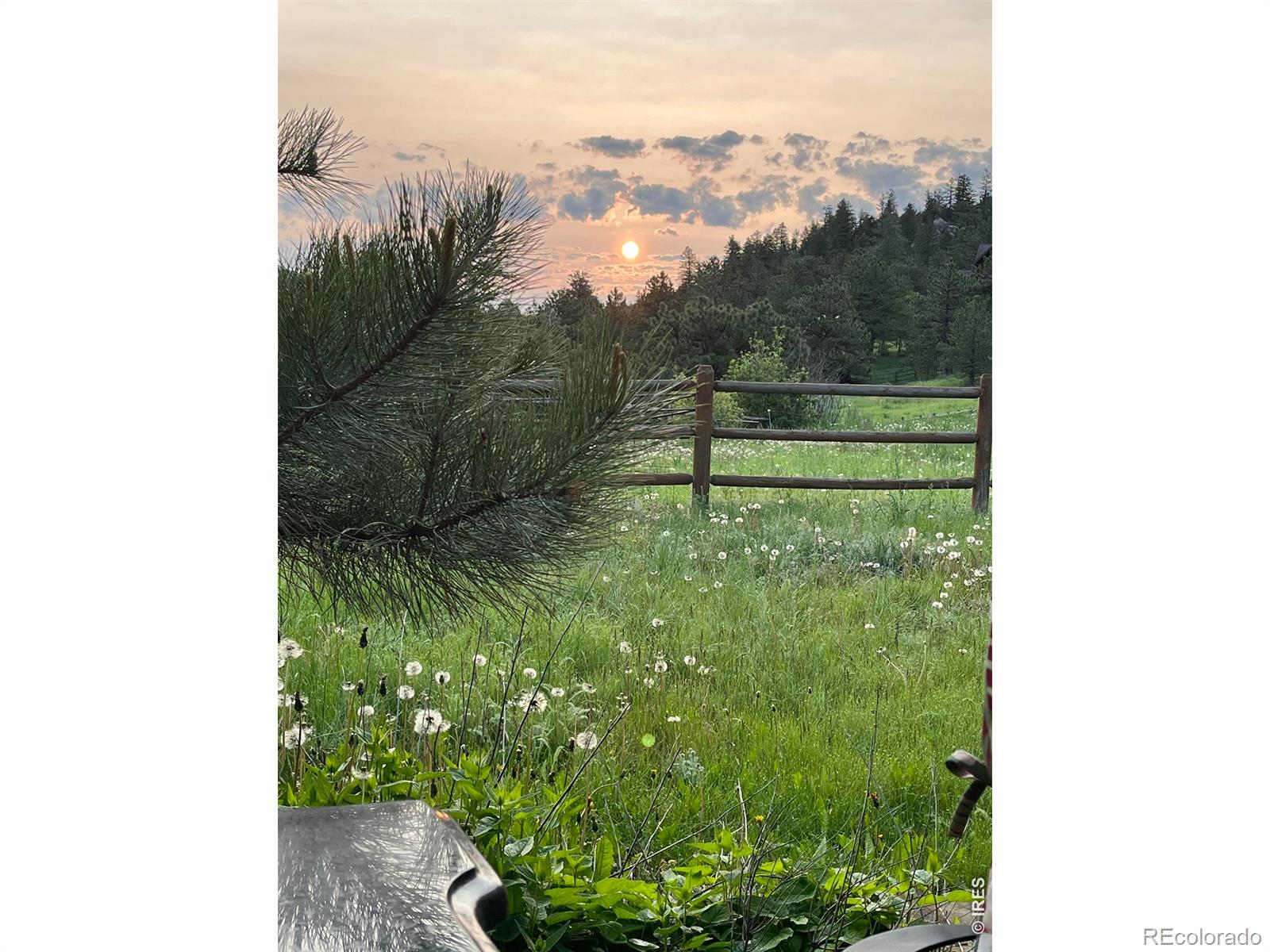 239 Estes Park Estates Drive Lyons CO 80540