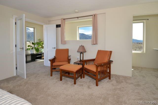 481 Camino Real Crestone CO 81131
