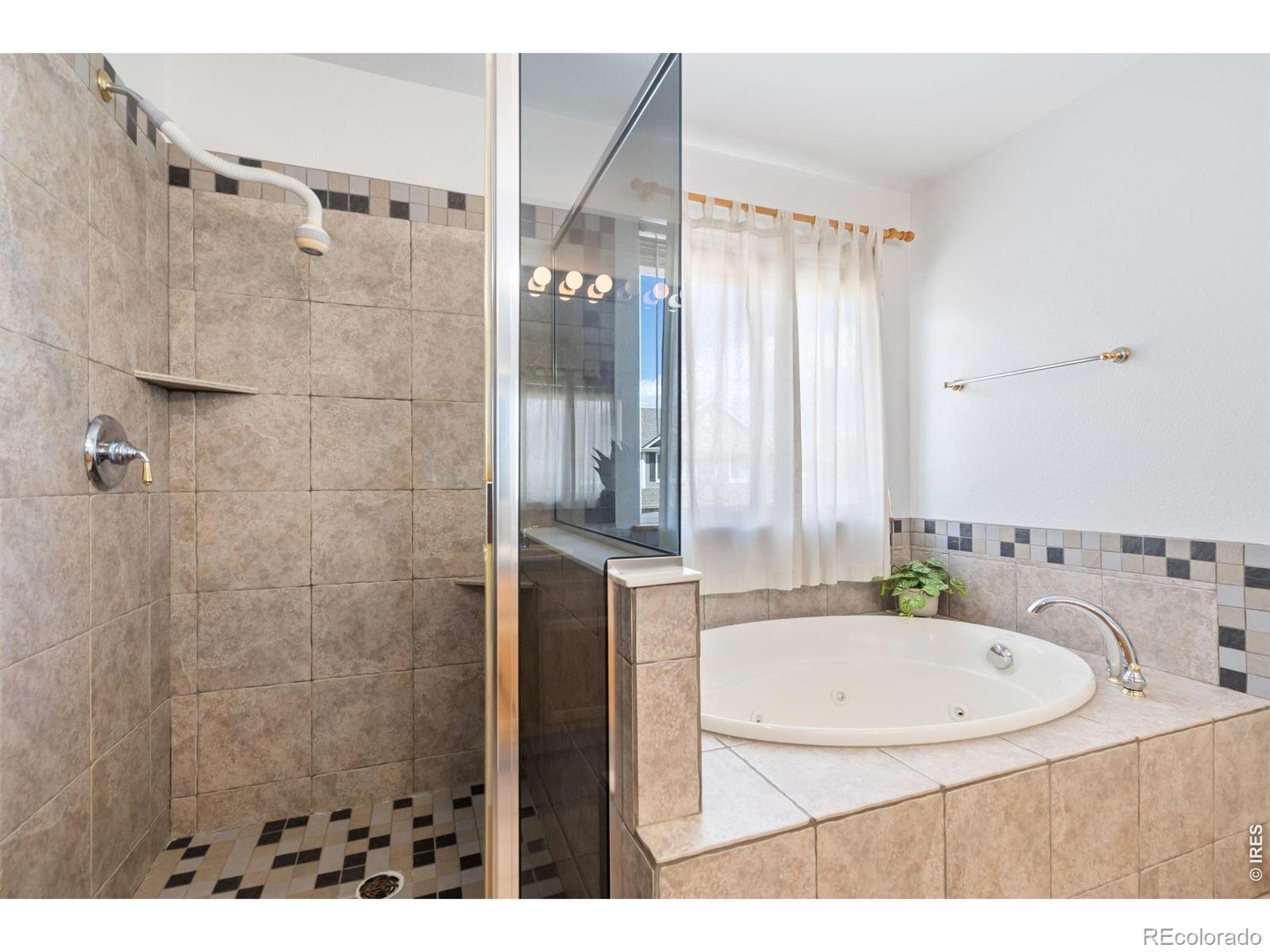 503 Shadbury Court Fort Collins CO 80525