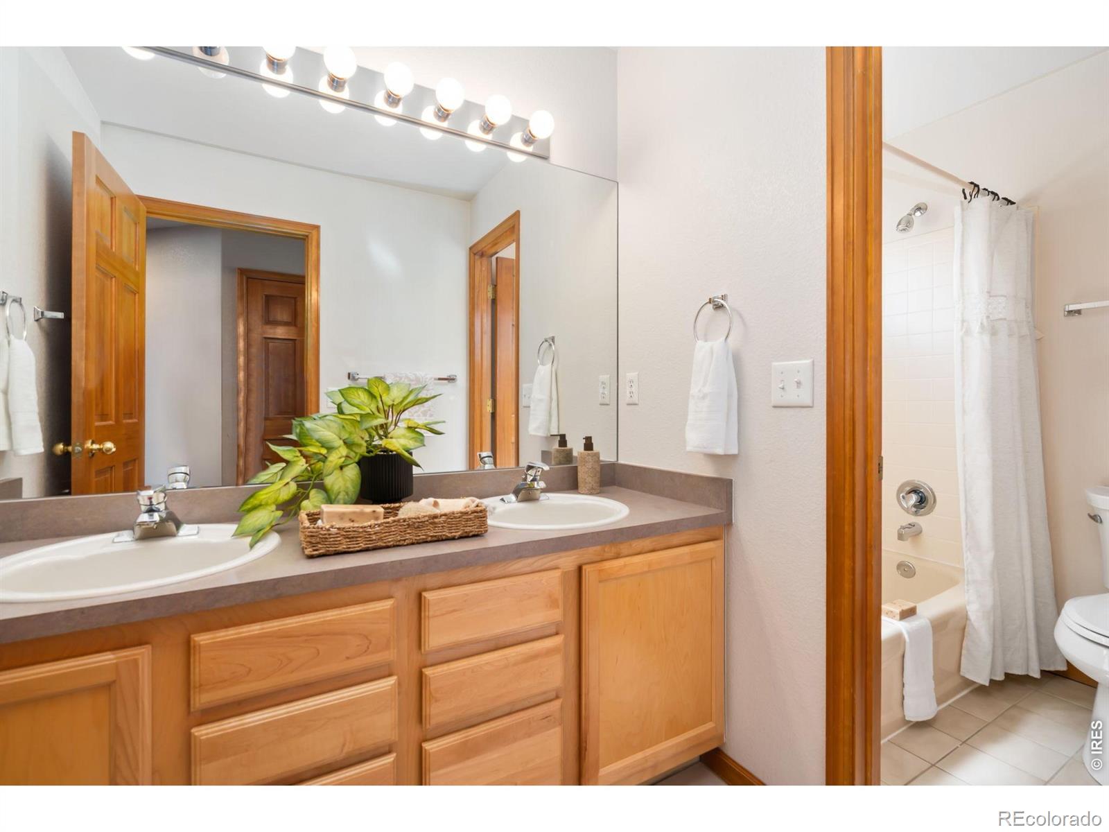 503 Shadbury Court Fort Collins CO 80525