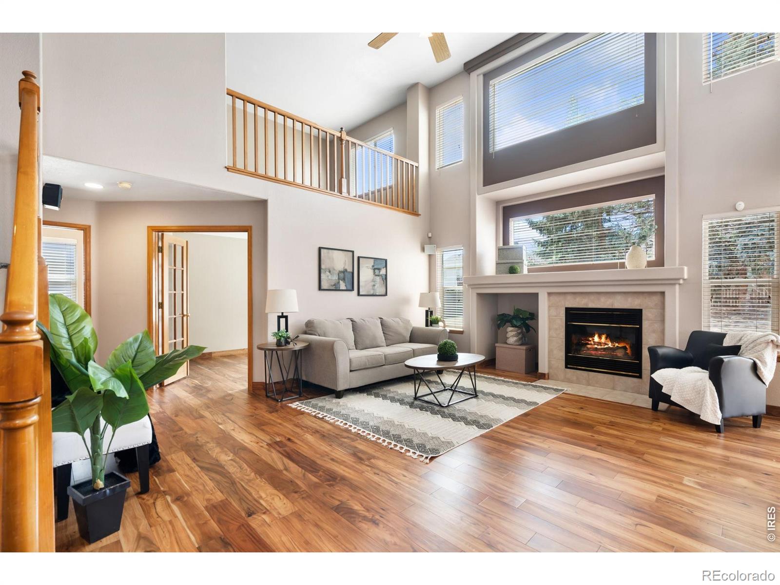503 Shadbury Court Fort Collins CO 80525