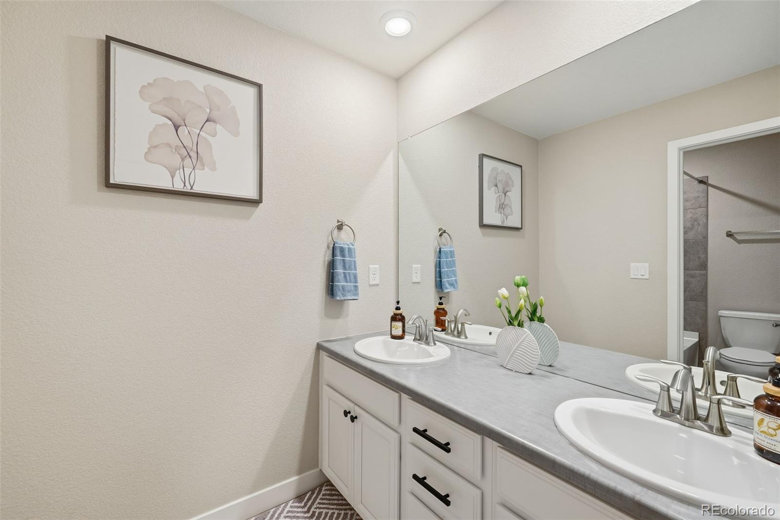 17668 Eclipse Street Broomfield CO 80023