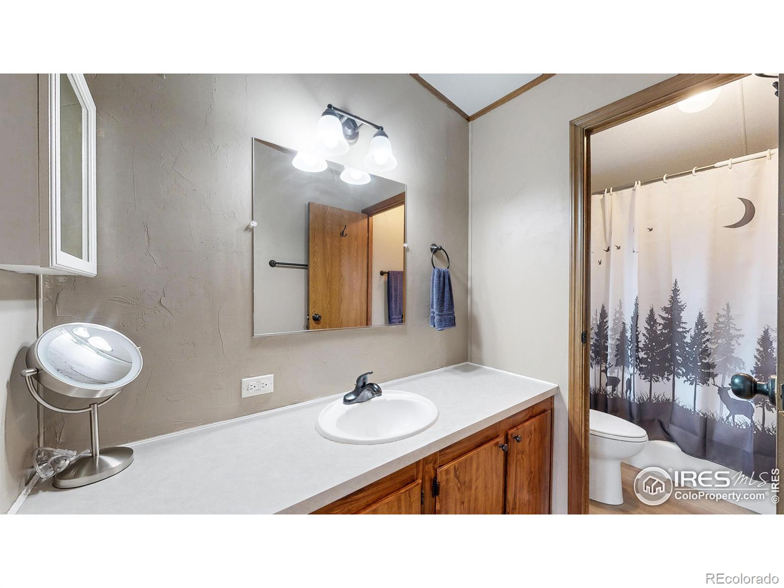 62 Spokane Court Red Feather Lakes CO 80545