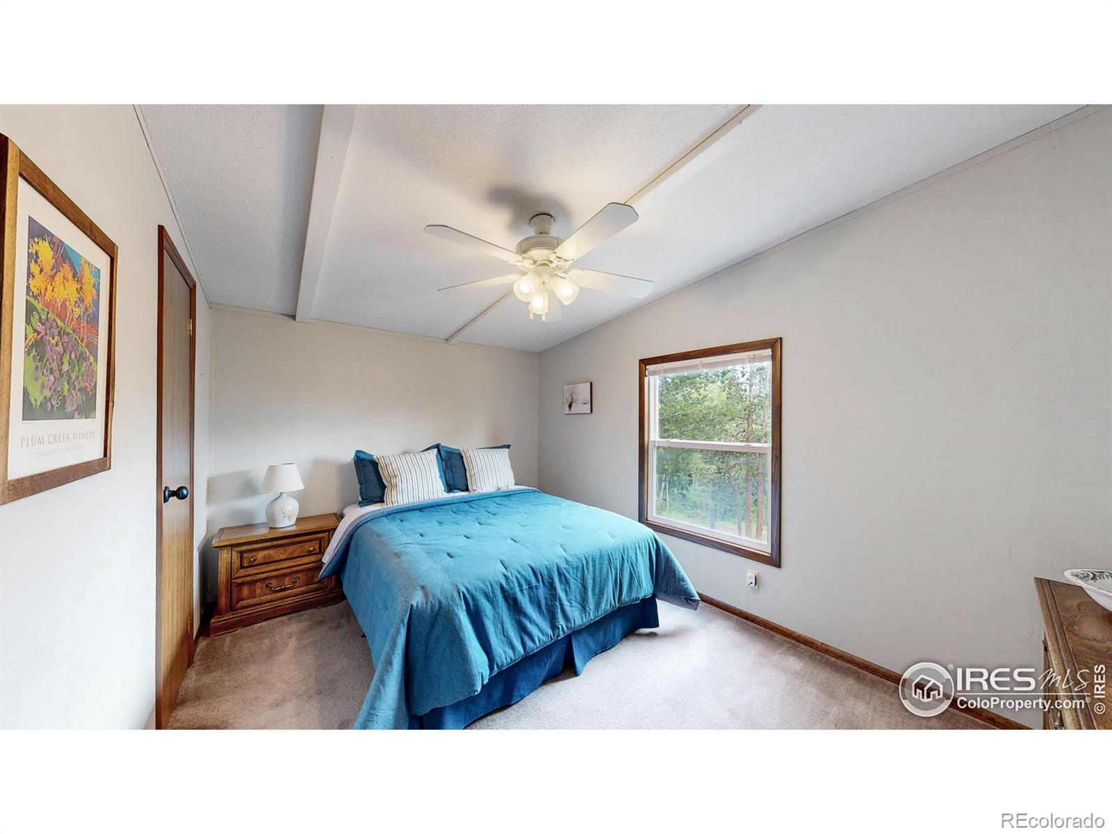 62 Spokane Court Red Feather Lakes CO 80545