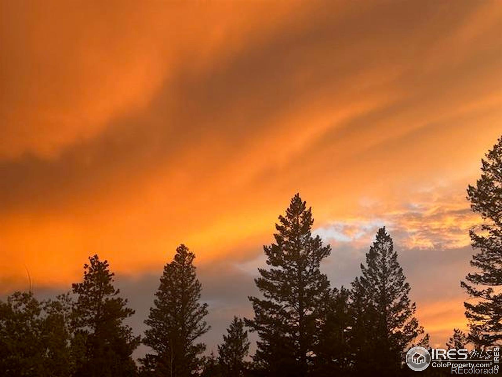 62 Spokane Court Red Feather Lakes CO 80545