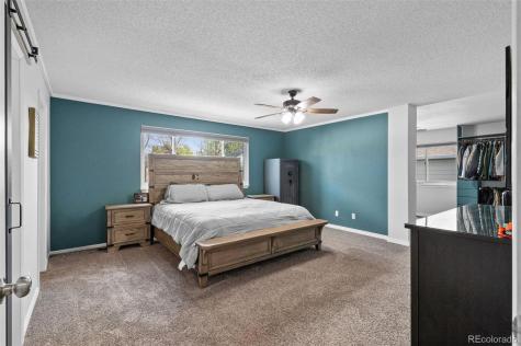 5201 Devon Avenue Castle Rock CO 80104