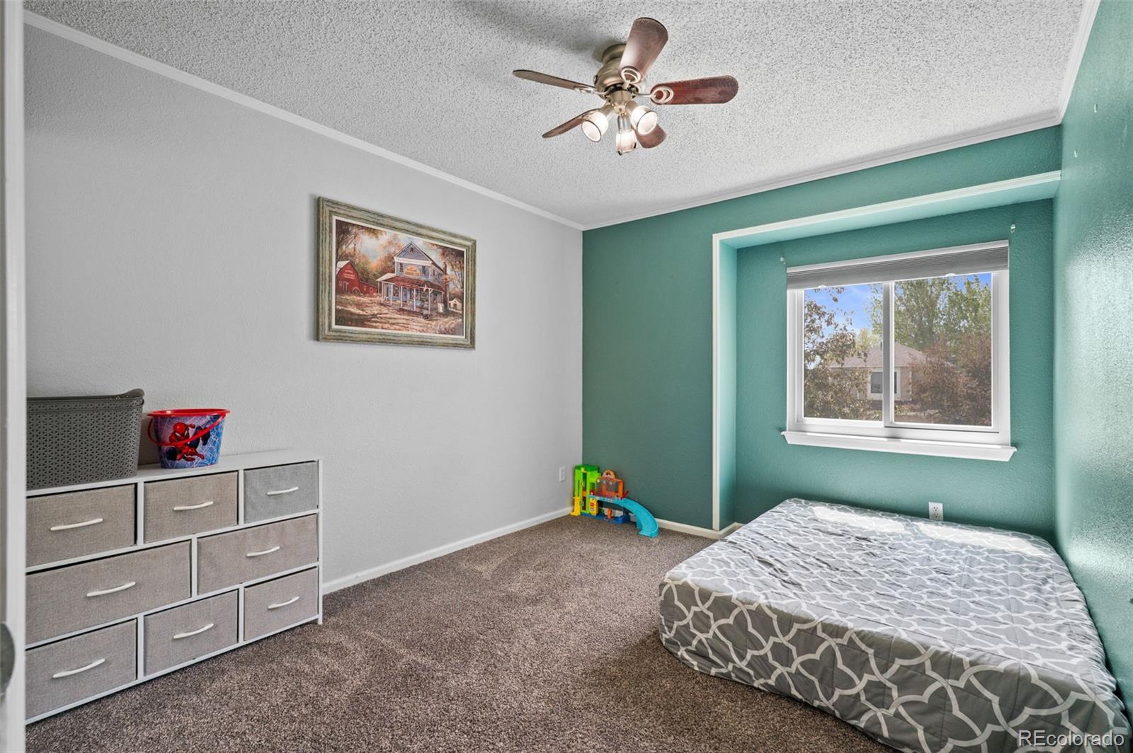 5201 Devon Avenue Castle Rock CO 80104