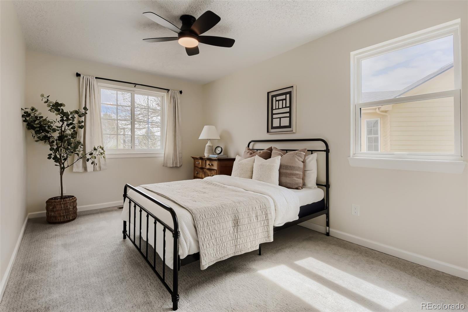 4551 N Blazingstar Trail Castle Rock CO 80109