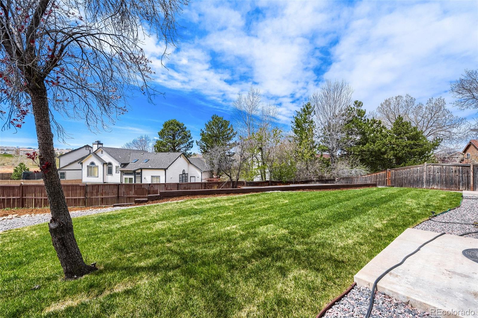 4551 N Blazingstar Trail Castle Rock CO 80109