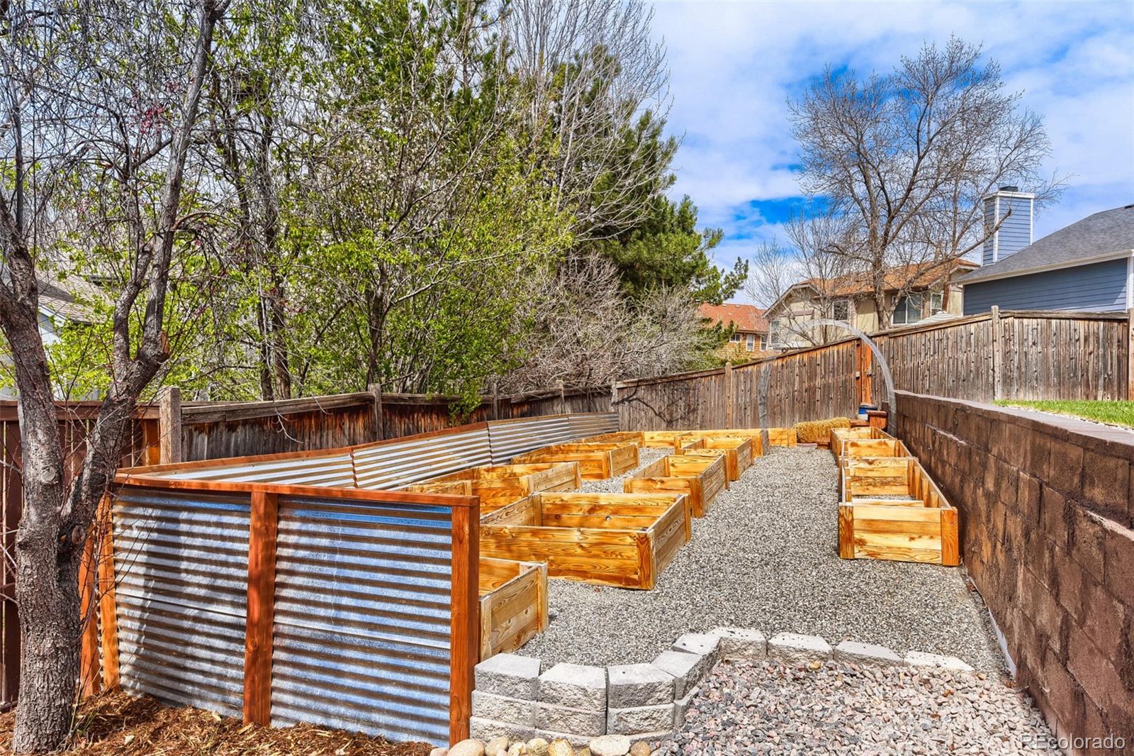 4551 N Blazingstar Trail Castle Rock CO 80109