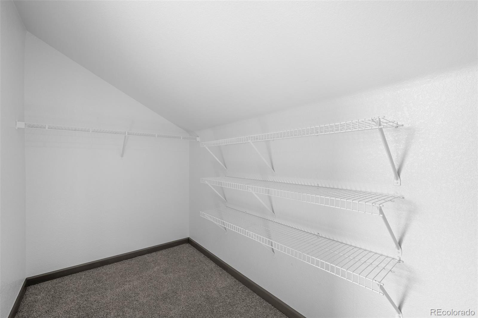4718 Orleans Street Denver CO 80249