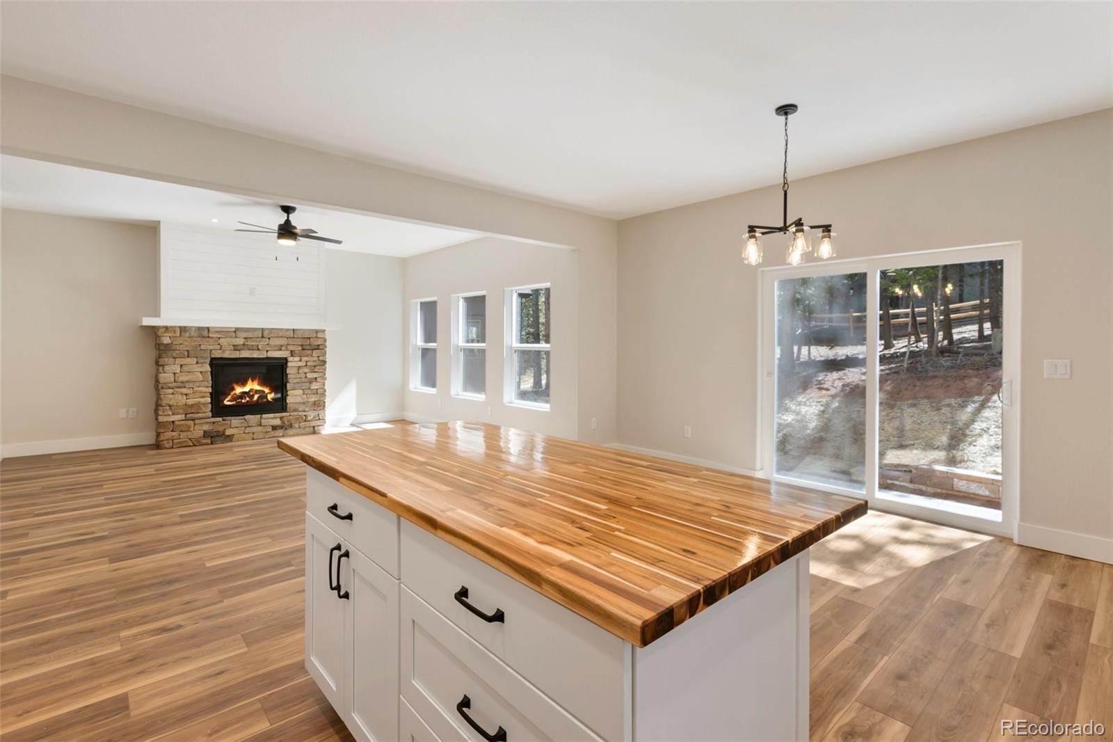 671 Bradford Drive Woodland Park CO 80863
