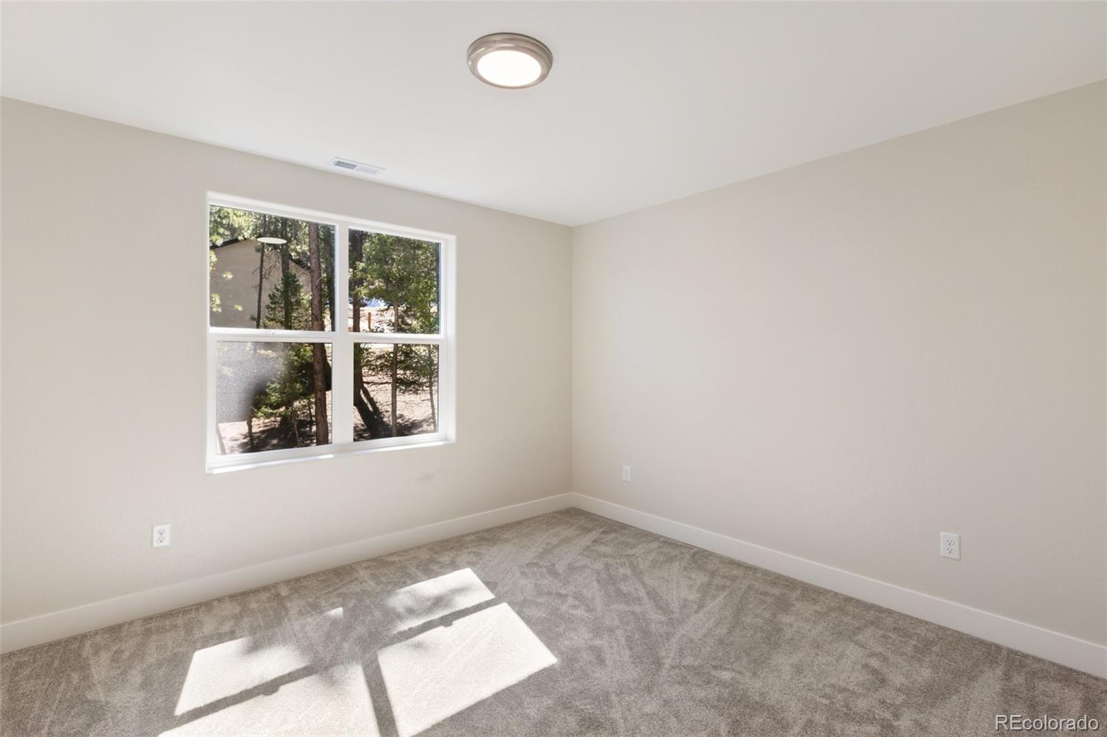 671 Bradford Drive Woodland Park CO 80863