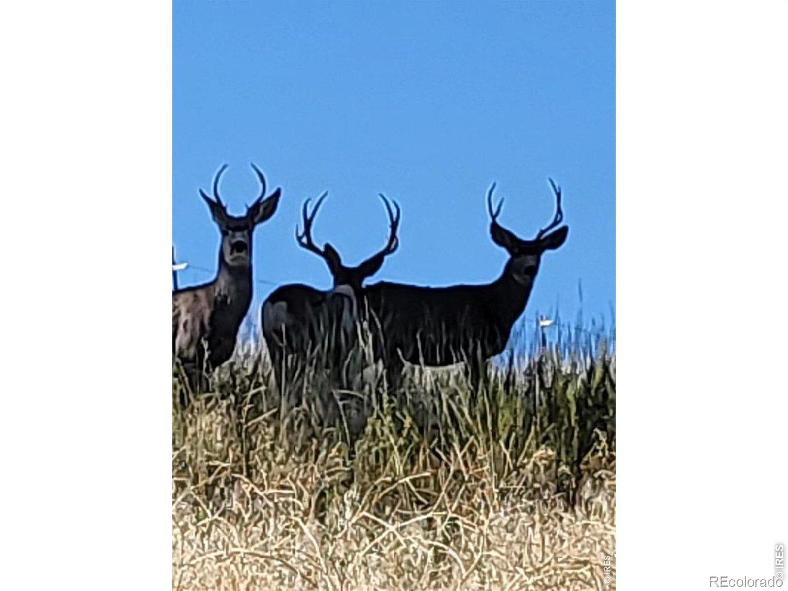 27033 Thea Gulch Road Golden CO 80403