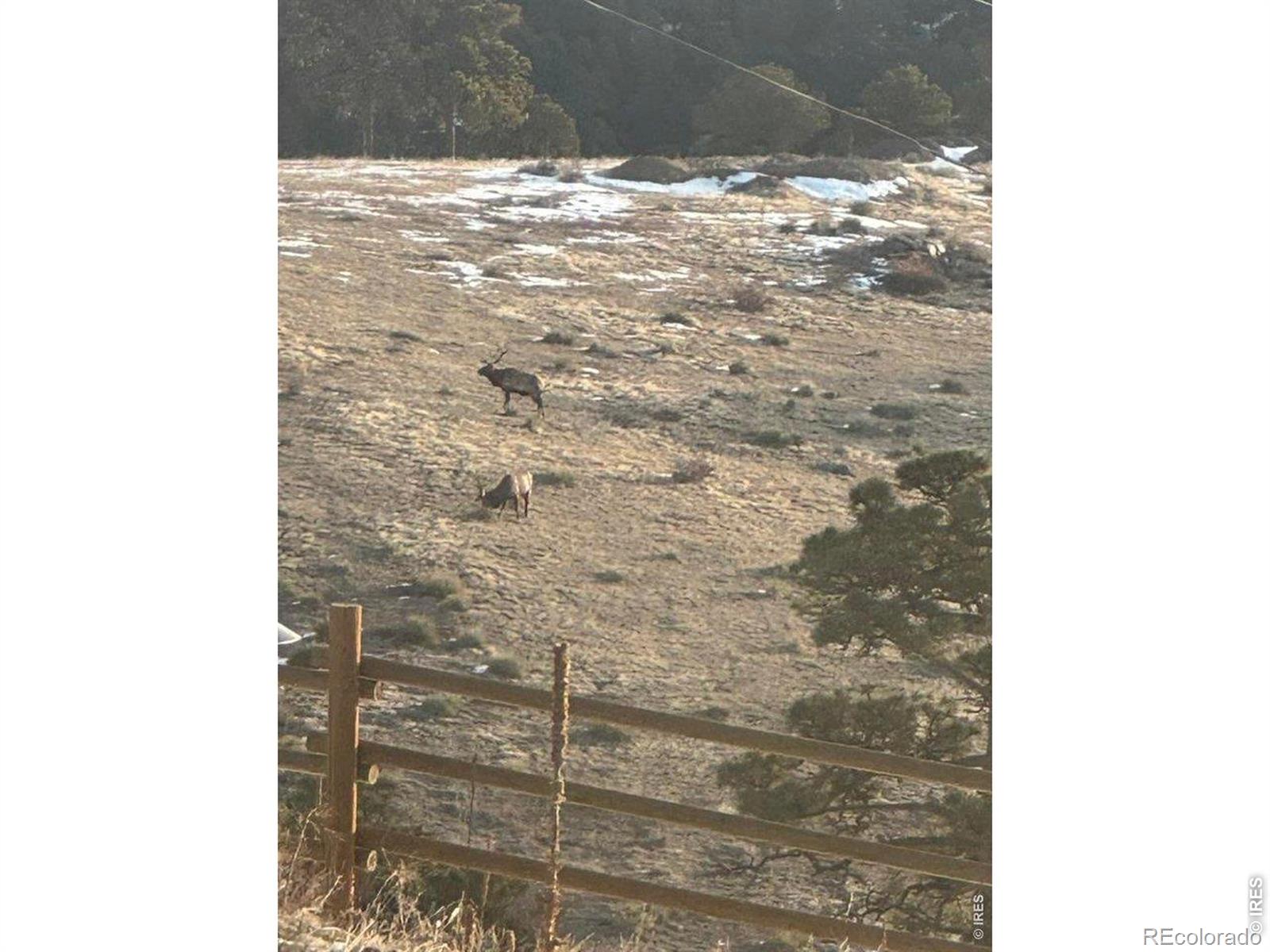 27033 Thea Gulch Road Golden CO 80403