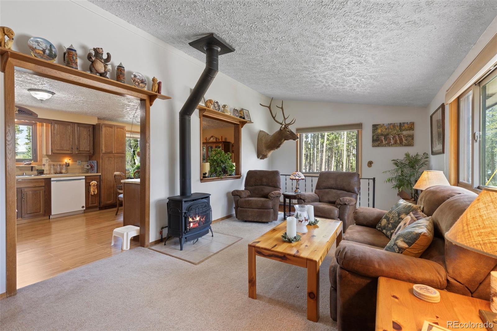 599 American Way Breckenridge CO 80424