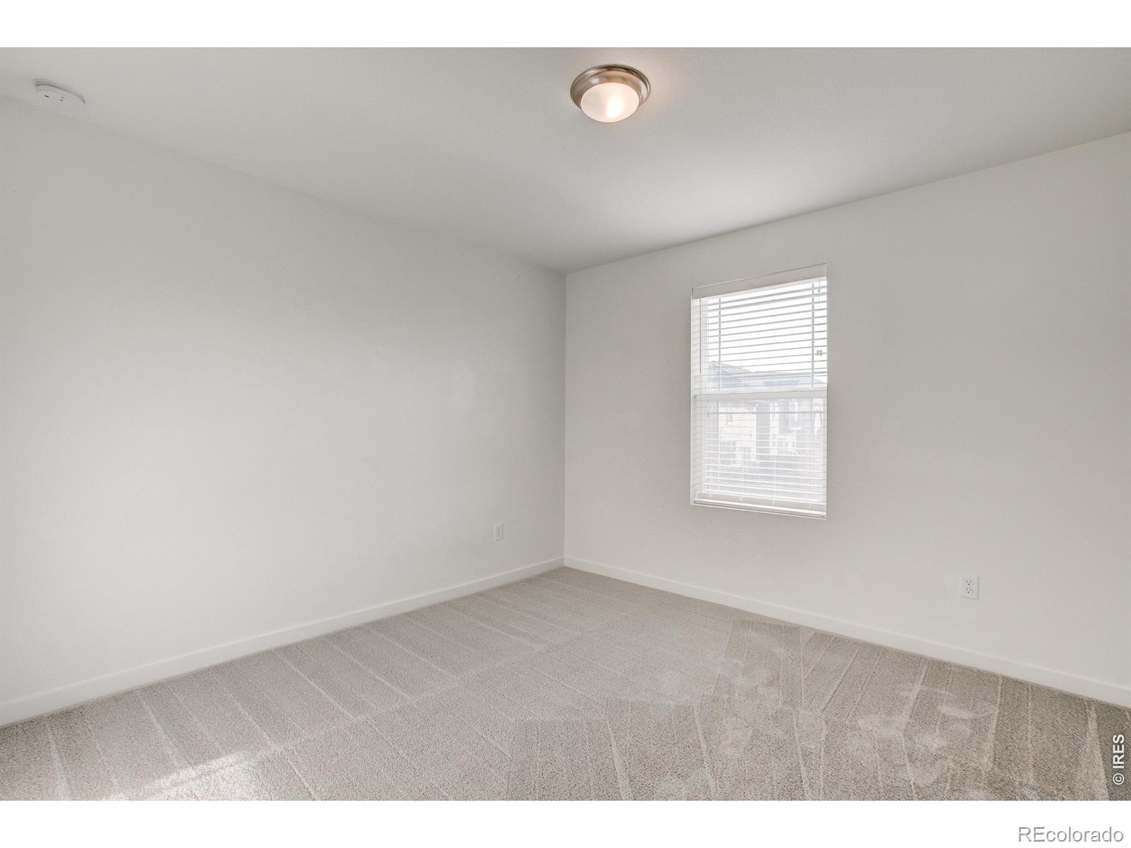 2631 Painted Turtle Avenue Loveland CO 80538
