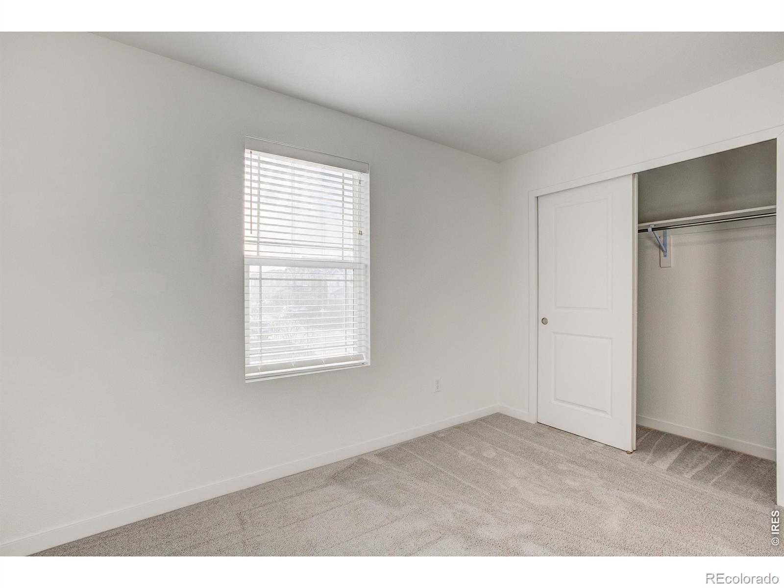 2631 Painted Turtle Avenue Loveland CO 80538