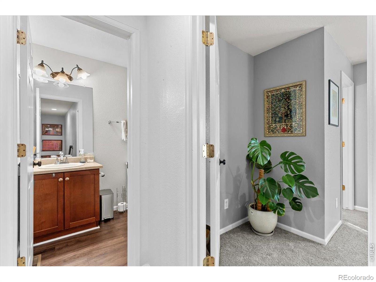10596 Forester Place Longmont CO 80504