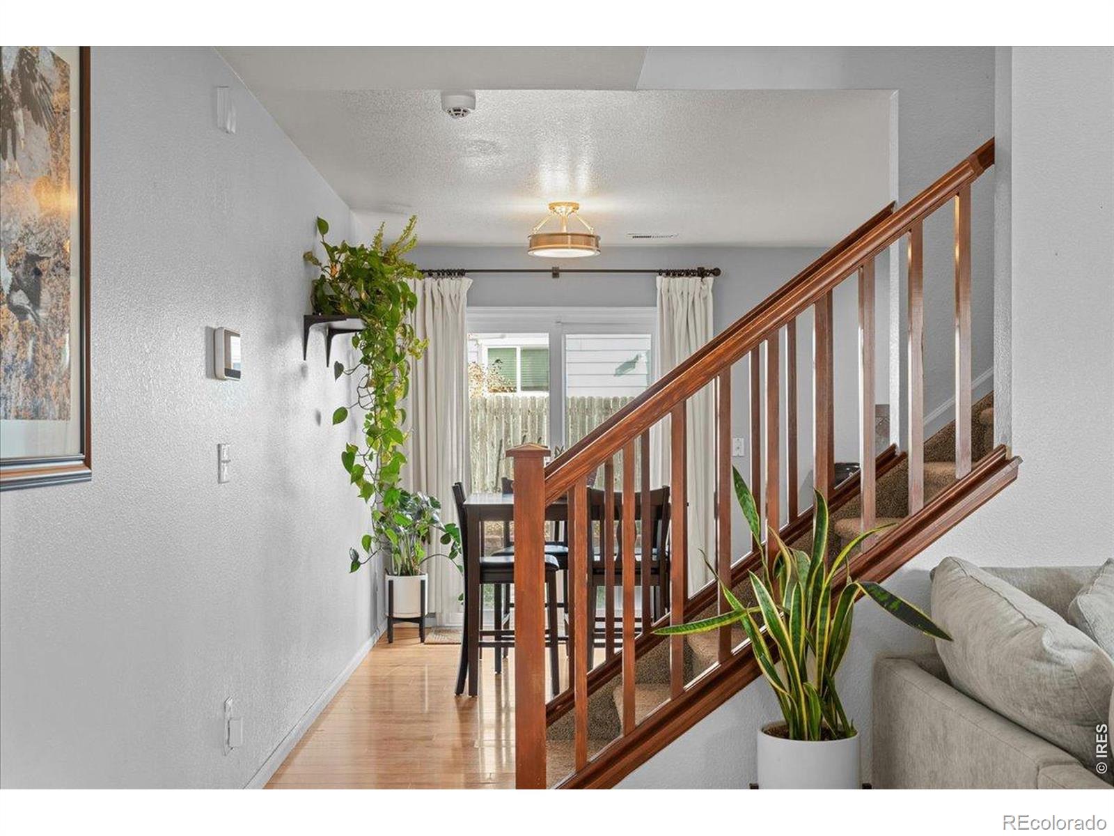 10596 Forester Place Longmont CO 80504