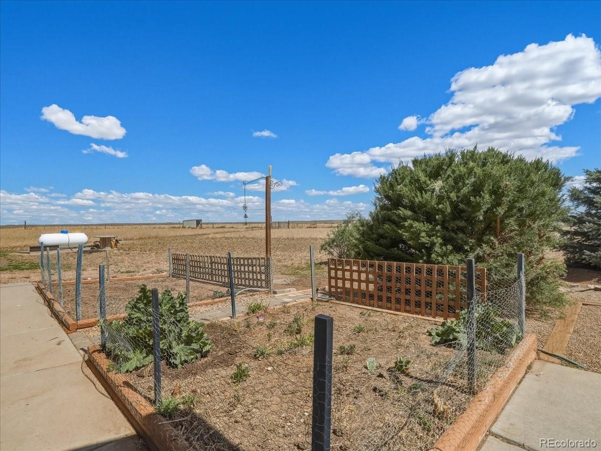 13424 Alex Place Carr CO 80612