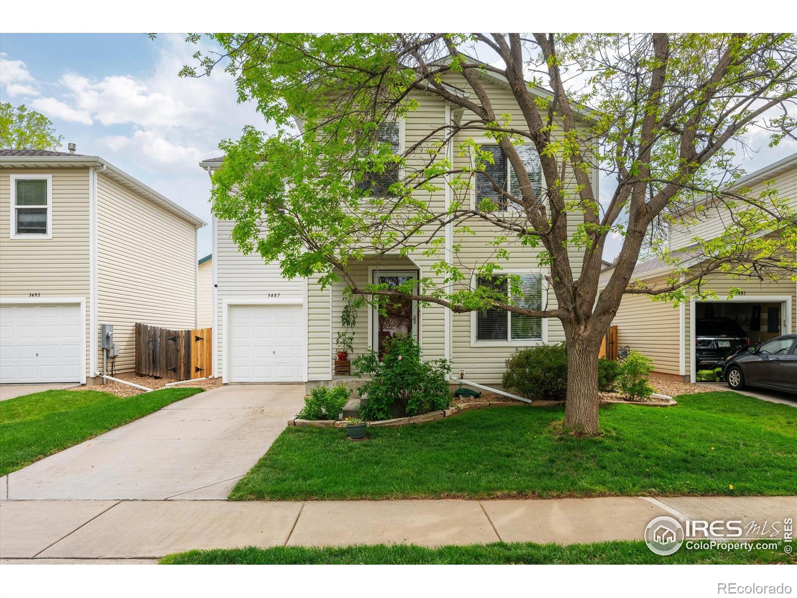 3487 Warren Farm Drive Fort Collins CO 80526