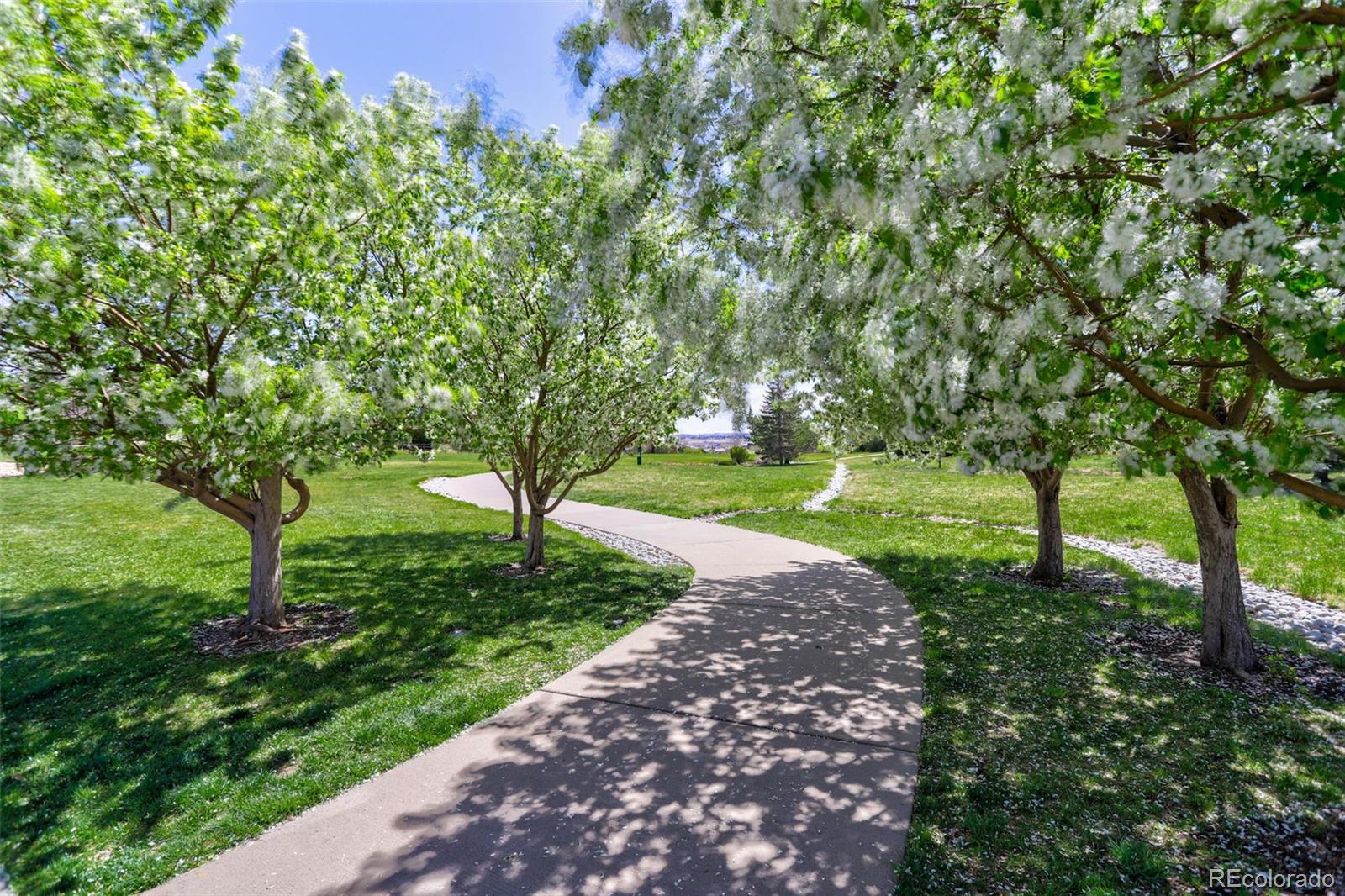 16321 E Hollow Horn Avenue Parker CO 80134