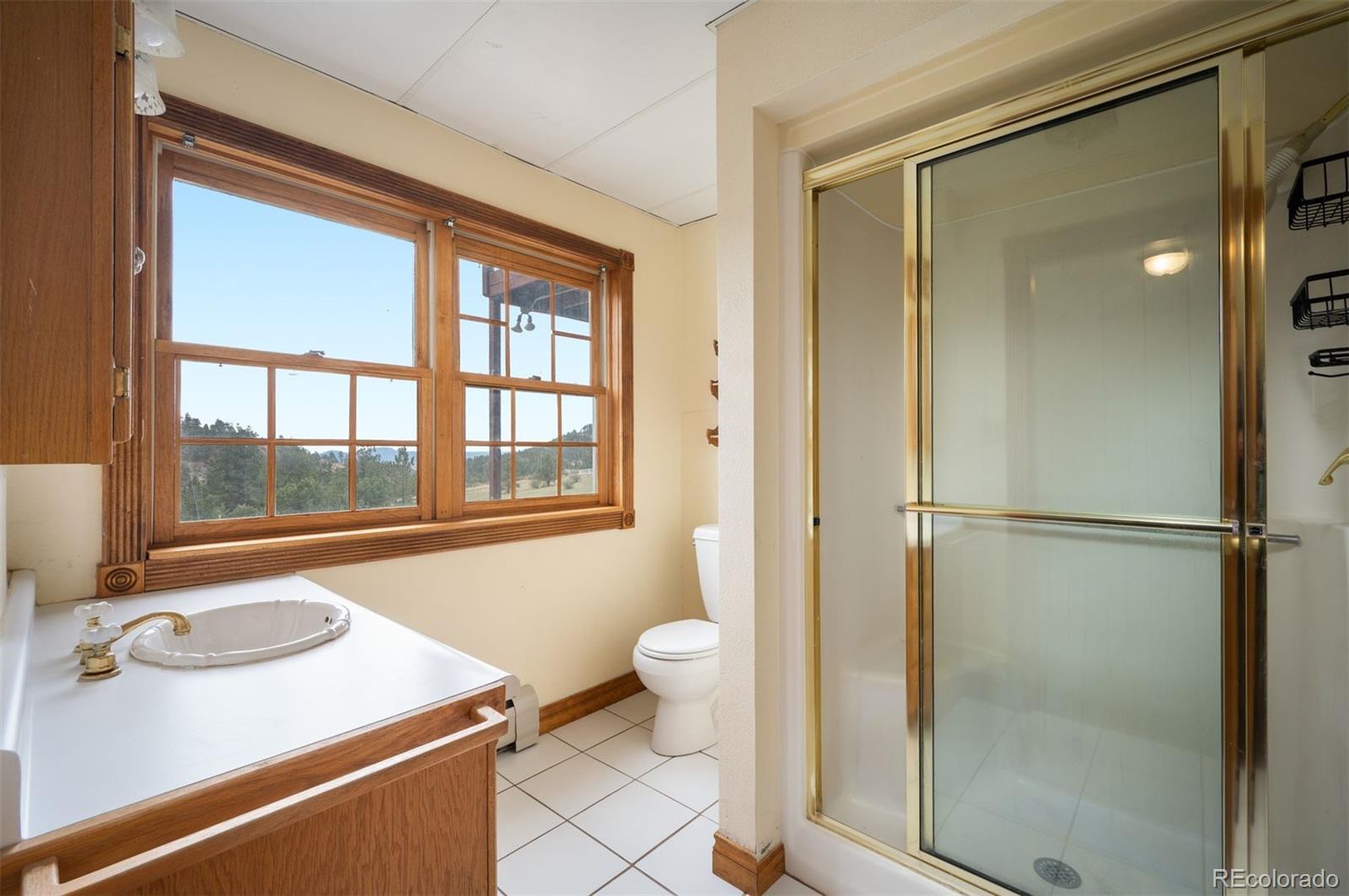 13991 Jubilee Trail Pine CO 80470