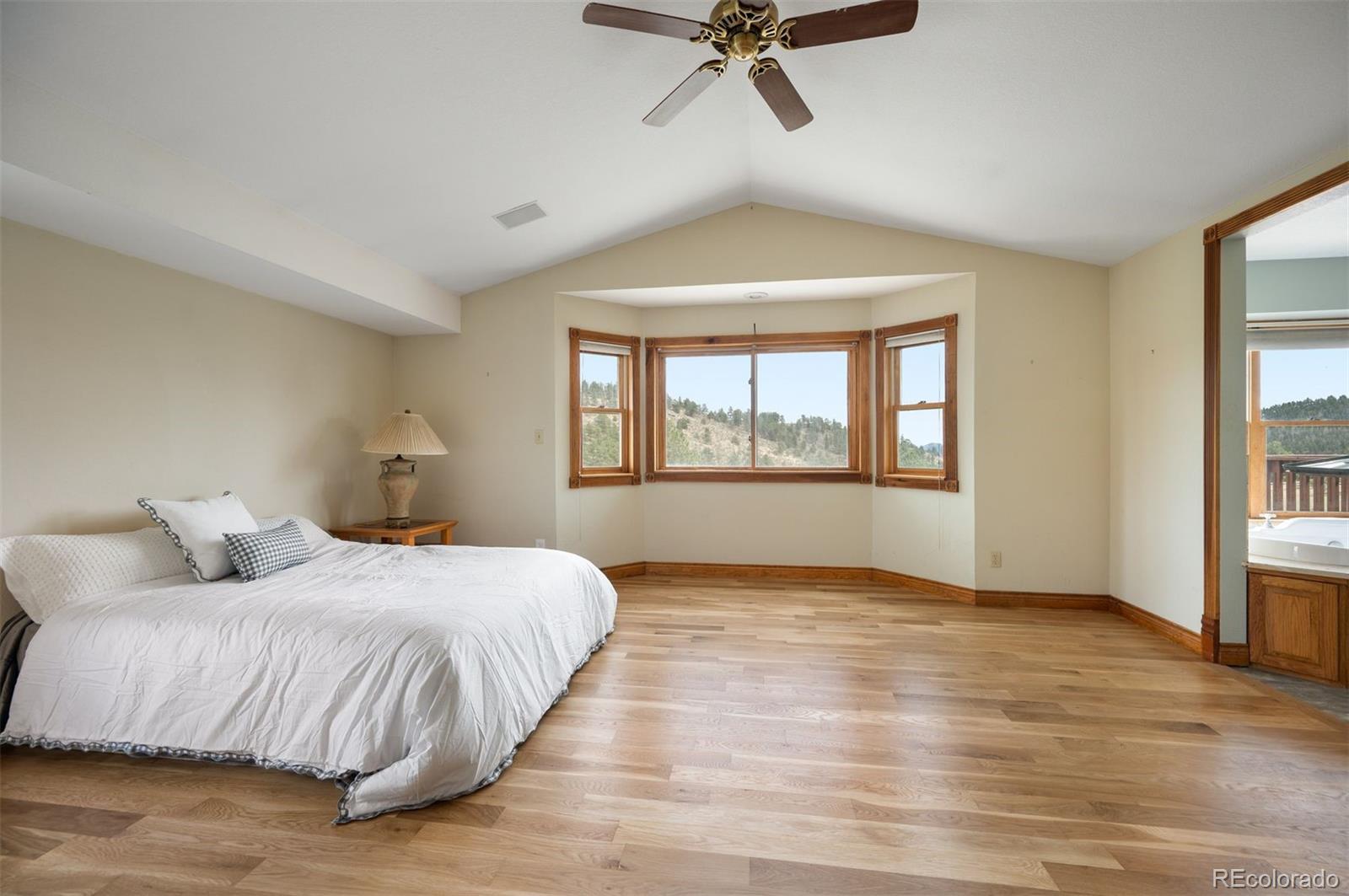 13991 Jubilee Trail Pine CO 80470