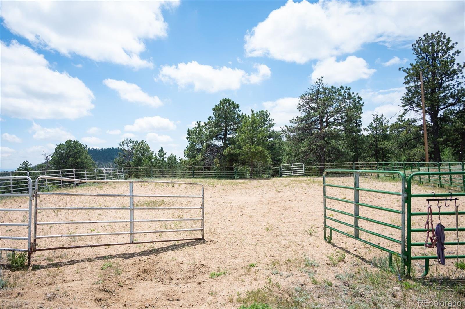 13991 Jubilee Trail Pine CO 80470