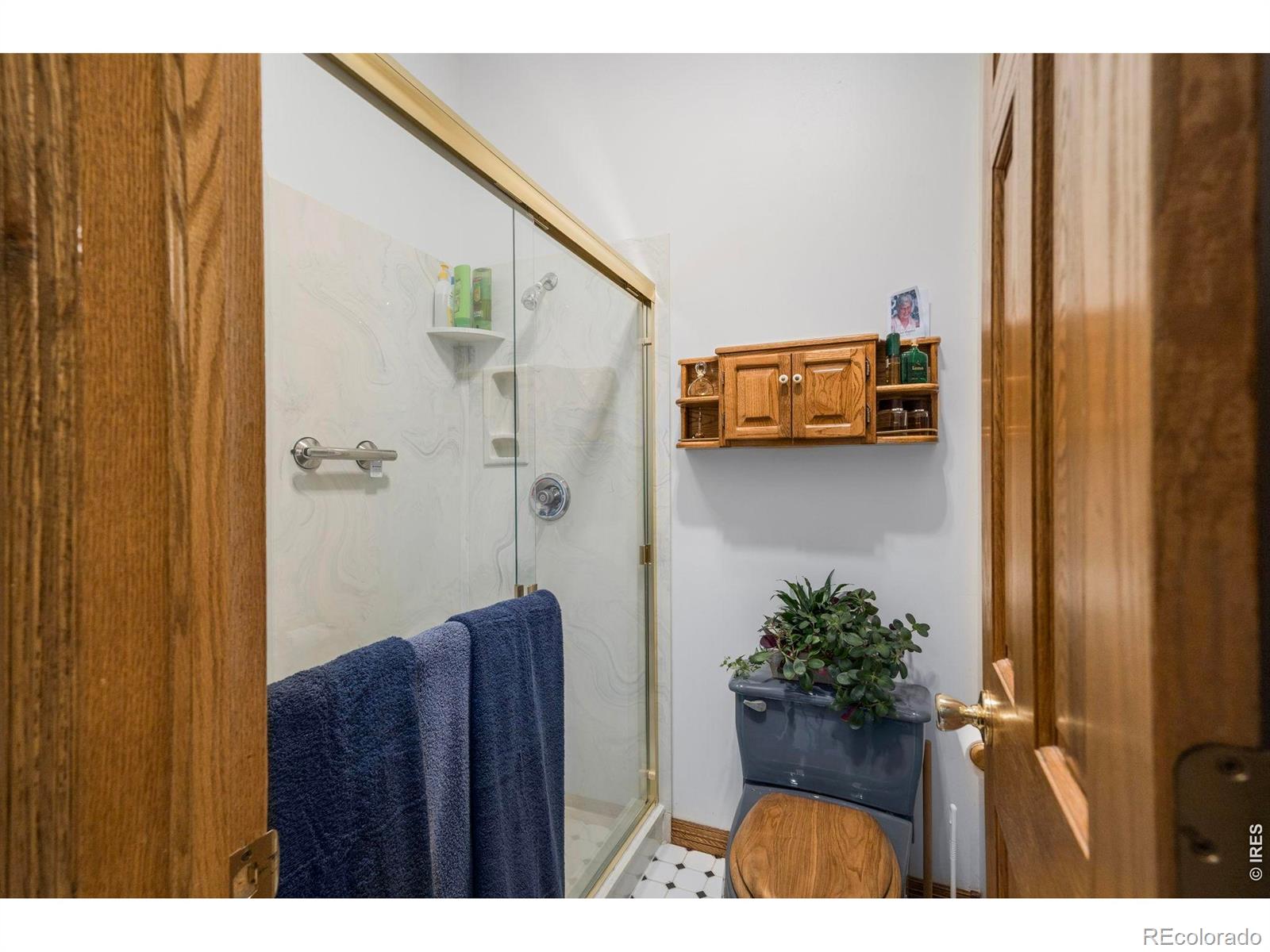 7309 Didrickson Court Fort Collins CO 80528