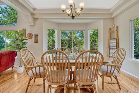 1580 Capadaro Court Monument CO 80132