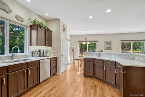 1580 Capadaro Court Monument CO 80132