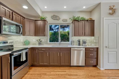 1580 Capadaro Court Monument CO 80132