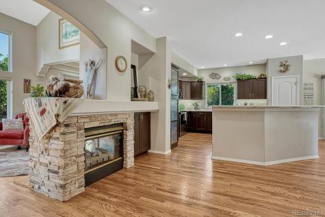 1580 Capadaro Court Monument CO 80132