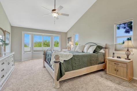 1580 Capadaro Court Monument CO 80132