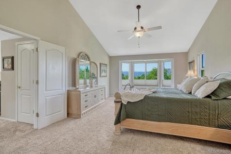 1580 Capadaro Court Monument CO 80132