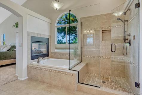 1580 Capadaro Court Monument CO 80132