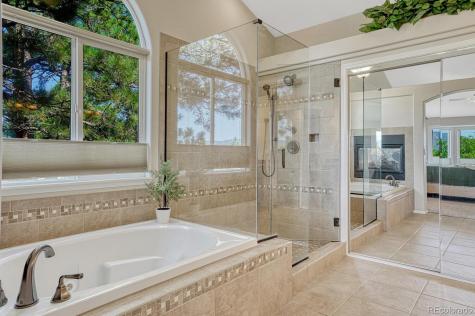 1580 Capadaro Court Monument CO 80132